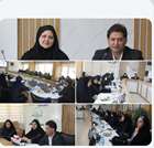 بانوان کرمانی ؛ سفیران روشنایی و فرهنگ‌سازان مصرف بهینه برق